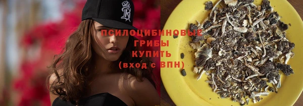тгк Переславль-Залесский