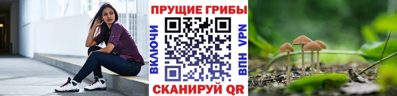 Псилоцибиновые грибы Magic Shrooms  Старая Русса 