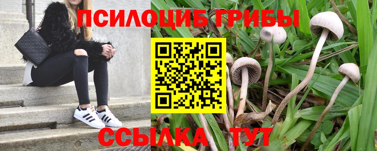 Старая Русса  Галлюциногенные грибы Magic Shrooms  Псилоцибиновые грибы Cubensis  Вход с VPN 